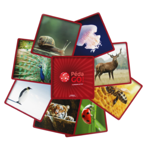 PhotoVerbaliZ Animalogie© Jeu de photolangages de 50 cartes